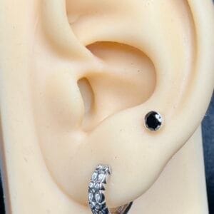 Hoop Earrings
